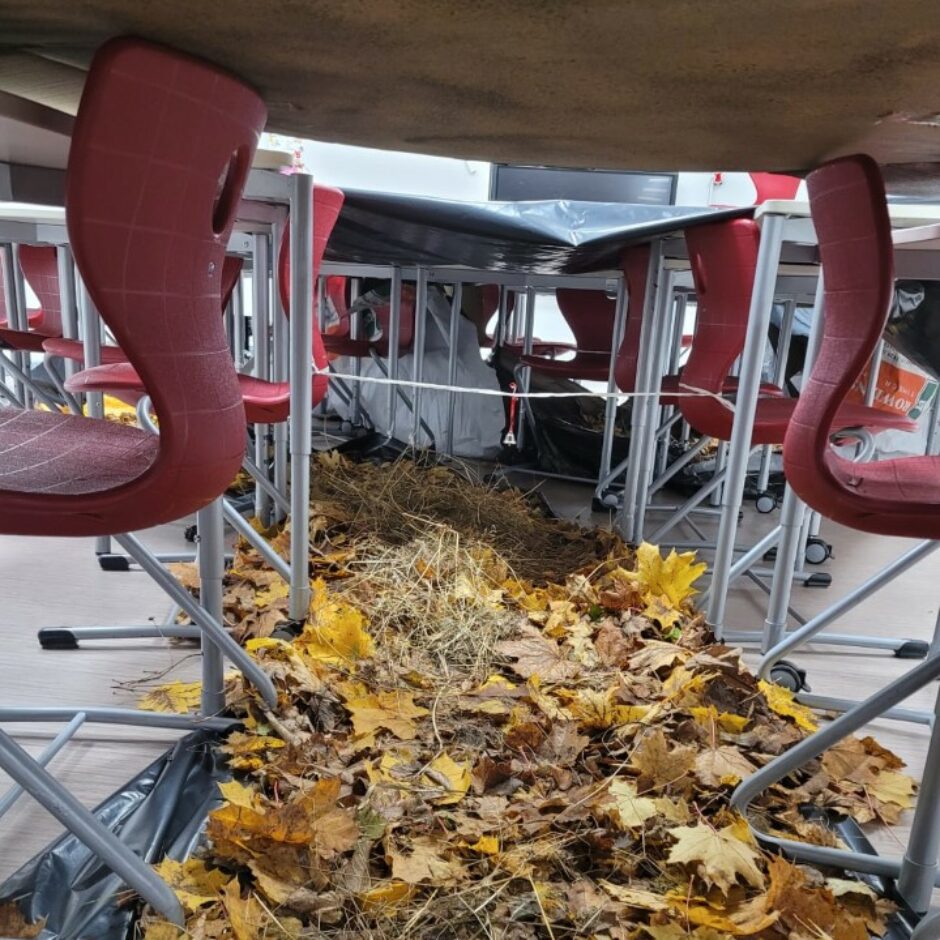 Zem galdiem novietotas rudens lapas, izveidots šķērslis 10. klases skolēniem.