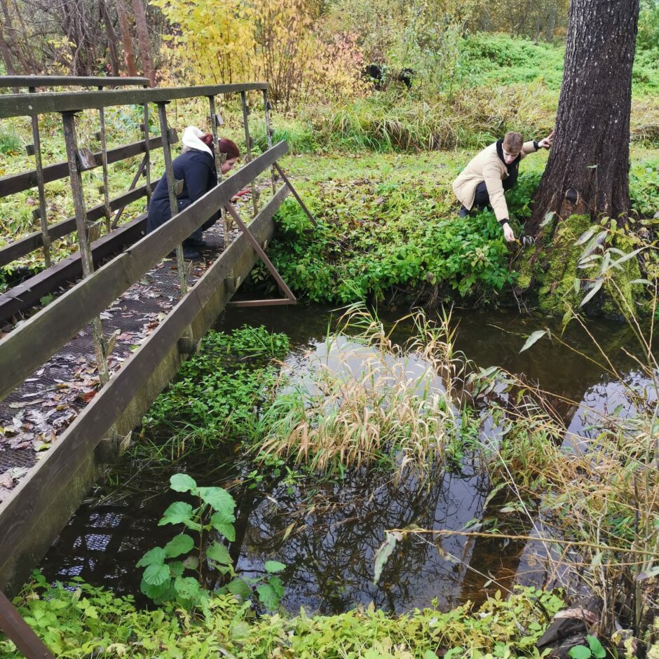 Skolēni pēta mazu upīti, viens skolēns atrodas uz tiltiņa un otrs upītes krastā.